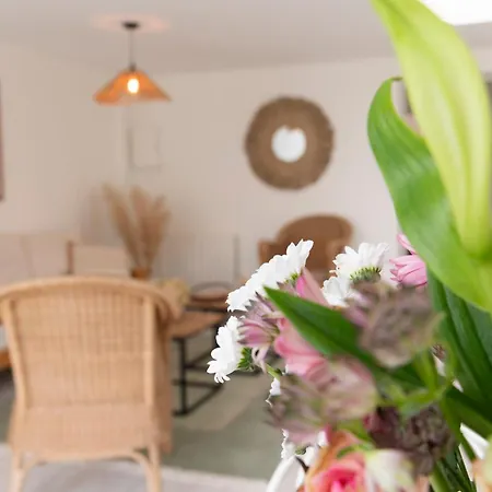 Апартаменты Les Cerisiers Rdc Lumineux, Jardin, Terrasse Baisieux